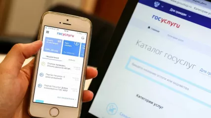 выплаты для жителей Курской области можно оформить на портале «Госуслуги» - фото - 1