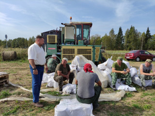 в Дорогобужском районе продолжается уборка льна-долгунца - фото - 3