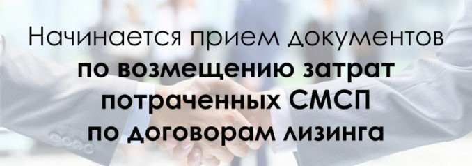 предоставление субсидий субъектам МСП, заключившим договор (договоры) лизинга оборудования с российскими лизинговыми организациями, на возмещение части затрат на уплату первого взноса (аванса) - фото - 1