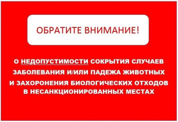 обратите внимание - фото - 1