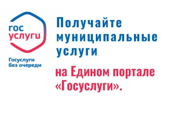 возможность получения массовых социально значимых услуг в электронном виде - фото - 1