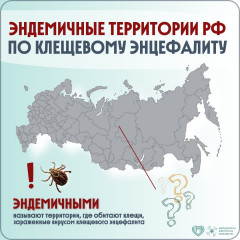 названы самые опасные регионы по клещевому энцефалиту в 2025 году - фото - 1