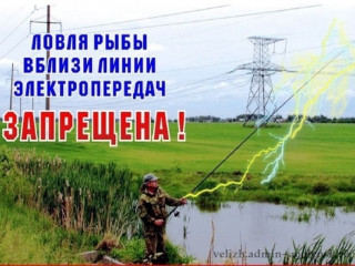 энергетики «Россети Центр» - «Смоленскэнерго» напоминают жителям области об обязательном соблюдении правил электробезопасности во время охоты и рыбалки - фото - 1