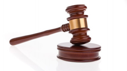 протокол подведения итогов процедуры 25000003230000000029, лот №1 - фото - 1