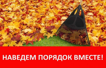 объявлен месячник по  благоустройству и санитарной очистке  территории - фото - 1