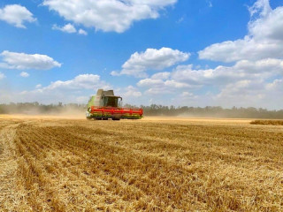 сельхозтоваропроизводители Дорогобужского района завершили уборку зерновых культур - фото - 1